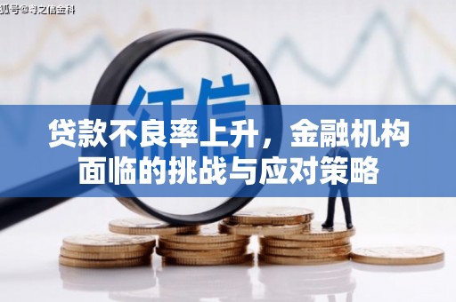 龙崎贷款不良率上升，金融机构面临的挑战与应对策略
