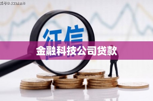 龙崎金融科技公司贷款