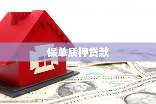 龙崎保单质押贷款