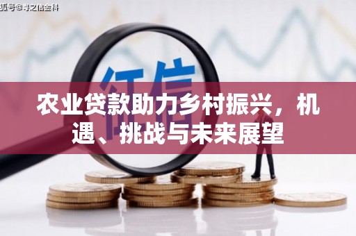 龙崎农业贷款助力乡村振兴，机遇、挑战与未来展望