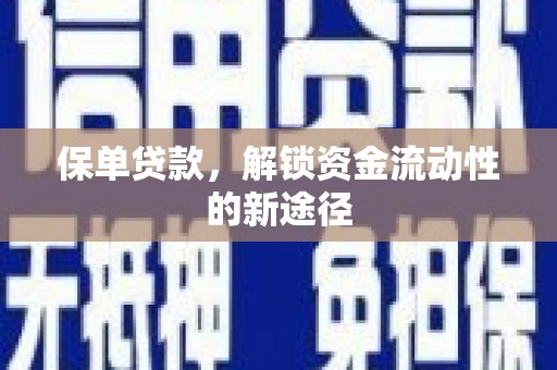 龙崎保单贷款，解锁资金流动性的新途径