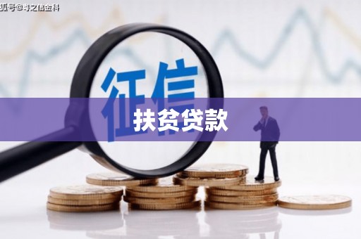 龙崎扶贫贷款