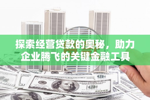 龙崎探索经营贷款的奥秘，助力企业腾飞的关键金融工具