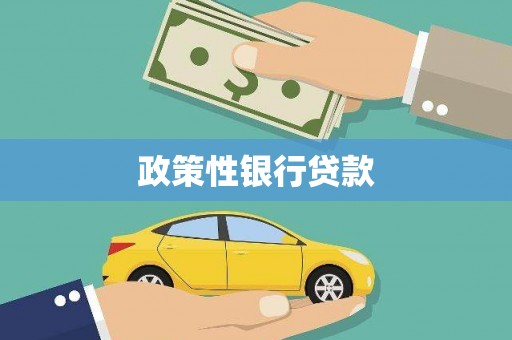 龙崎政策性银行贷款