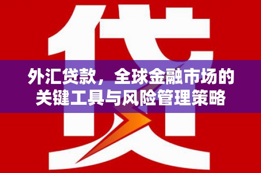 龙崎外汇贷款，全球金融市场的关键工具与风险管理策略