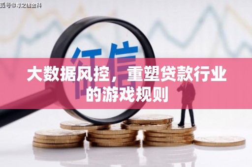 龙崎大数据风控，重塑贷款行业的游戏规则