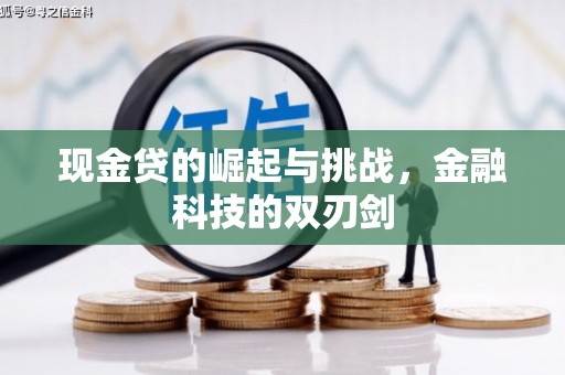 龙崎现金贷的崛起与挑战，金融科技的双刃剑
