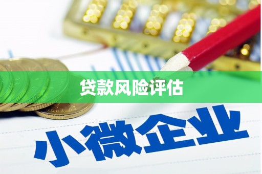 龙崎贷款风险评估