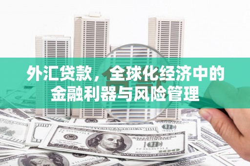 龙崎外汇贷款，全球化经济中的金融利器与风险管理