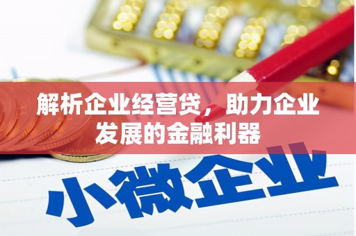 龙崎解析企业经营贷，助力企业发展的金融利器