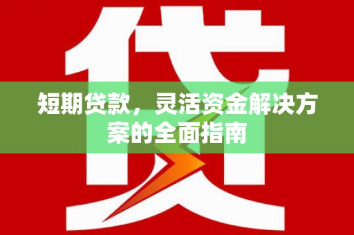龙崎短期贷款，灵活资金解决方案的全面指南