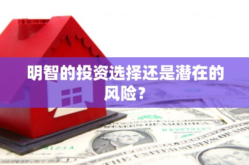 龙崎明智的投资选择还是潜在的风险？