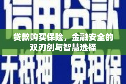 龙崎贷款购买保险，金融安全的双刃剑与智慧选择
