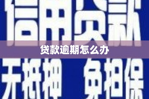 龙崎贷款逾期怎么办