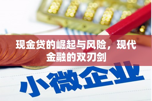龙崎现金贷的崛起与风险，现代金融的双刃剑