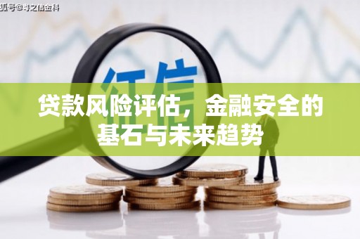 龙崎贷款风险评估，金融安全的基石与未来趋势