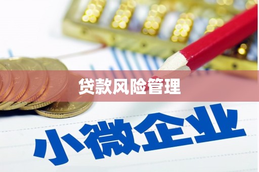 龙崎贷款风险管理