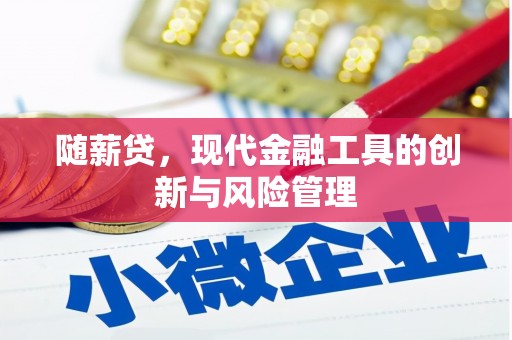 龙崎随薪贷，现代金融工具的创新与风险管理