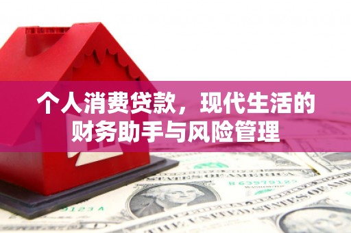 龙崎个人消费贷款，现代生活的财务助手与风险管理