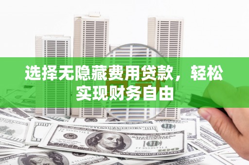 龙崎选择无隐藏费用贷款，轻松实现财务自由