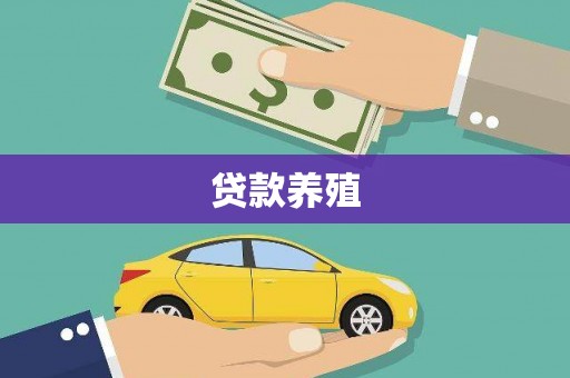 龙崎贷款养殖