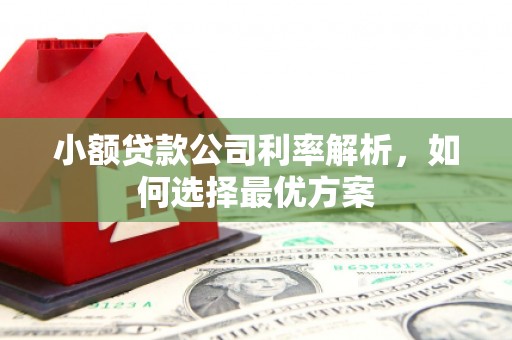 龙崎小额贷款公司利率解析，如何选择最优方案