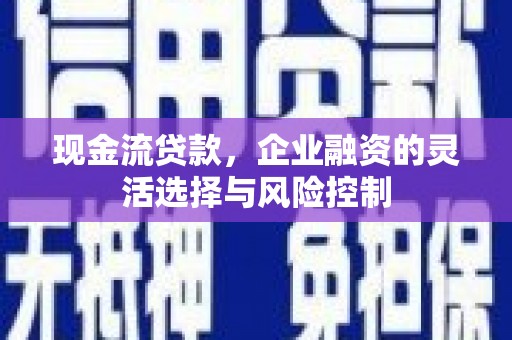 龙崎现金流贷款，企业融资的灵活选择与风险控制
