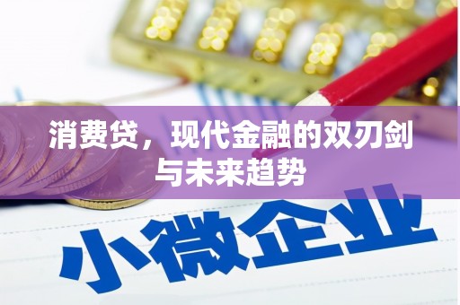 龙崎消费贷，现代金融的双刃剑与未来趋势