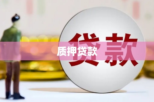 龙崎质押贷款
