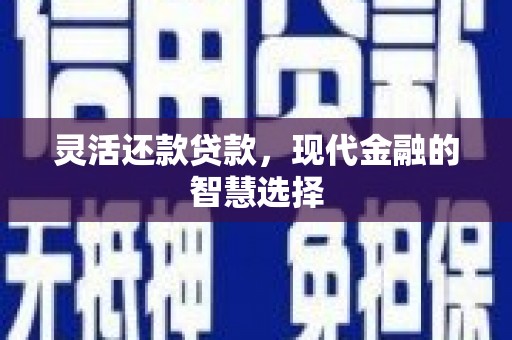 龙崎灵活还款贷款，现代金融的智慧选择