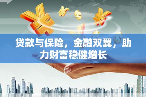 龙崎贷款与保险，金融双翼，助力财富稳健增长