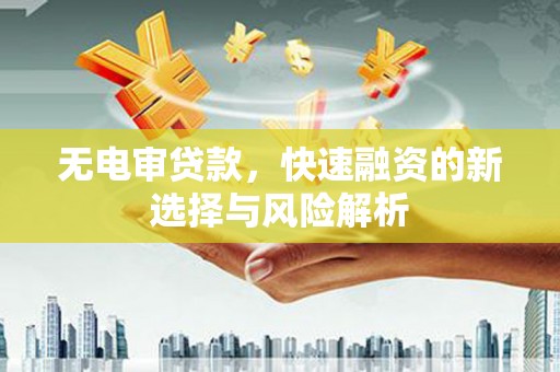 龙崎无电审贷款，快速融资的新选择与风险解析