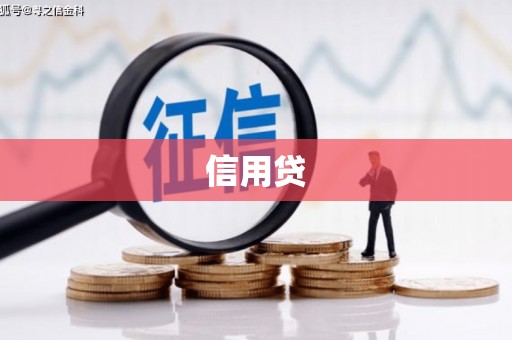 龙崎信用贷