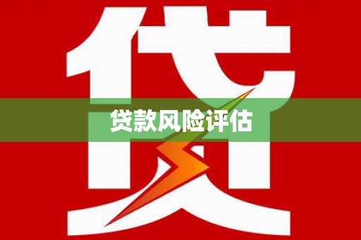 龙崎贷款风险评估