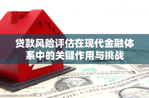 龙崎贷款风险评估在现代金融体系中的关键作用与挑战