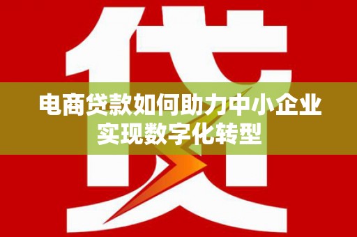 龙崎电商贷款如何助力中小企业实现数字化转型