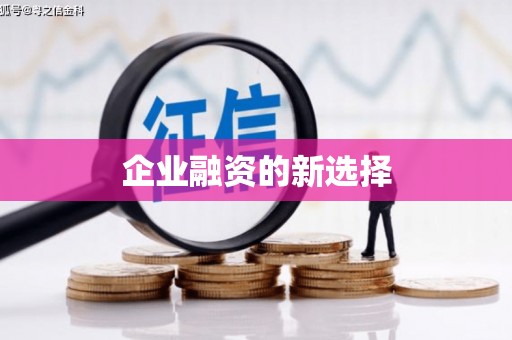 龙崎企业融资的新选择