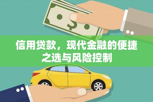 龙崎信用贷款，现代金融的便捷之选与风险控制