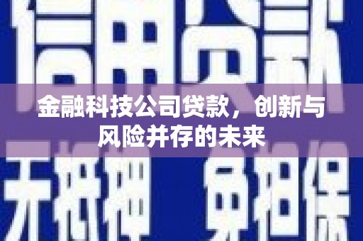 龙崎金融科技公司贷款，创新与风险并存的未来