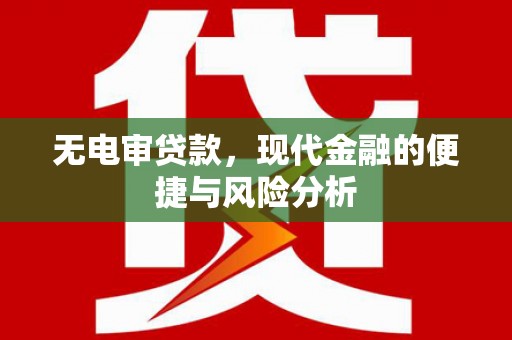 龙崎无电审贷款，现代金融的便捷与风险分析