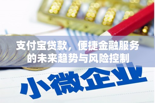 龙崎支付宝贷款，便捷金融服务的未来趋势与风险控制