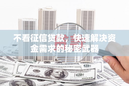 龙崎不看征信贷款，快速解决资金需求的秘密武器