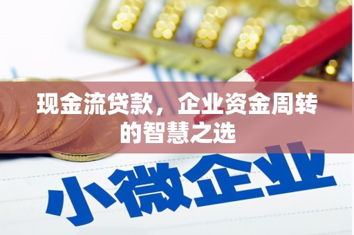 龙崎现金流贷款，企业资金周转的智慧之选