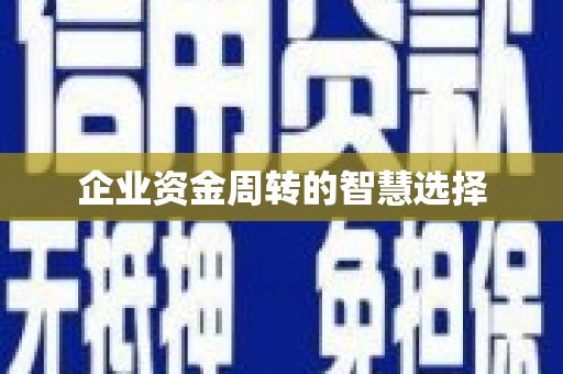 龙崎企业资金周转的智慧选择