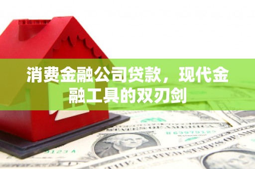 龙崎消费金融公司贷款，现代金融工具的双刃剑