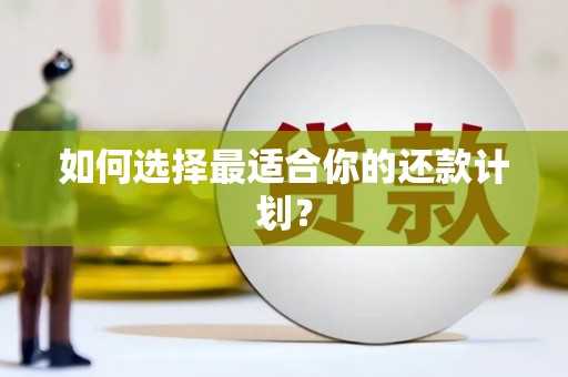 龙崎如何选择最适合你的还款计划？