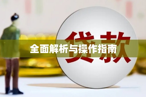 龙崎全面解析与操作指南