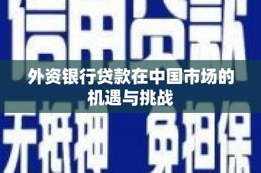 龙崎外资银行贷款在中国市场的机遇与挑战