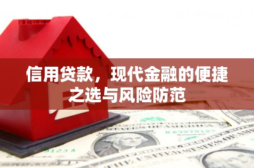 龙崎信用贷款，现代金融的便捷之选与风险防范