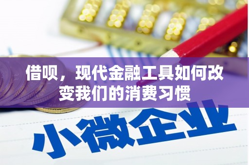龙崎借呗，现代金融工具如何改变我们的消费习惯